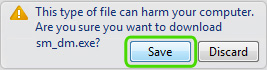 Save File