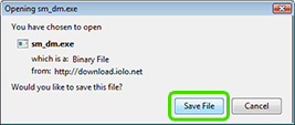 Save File