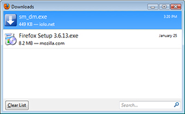 Run File